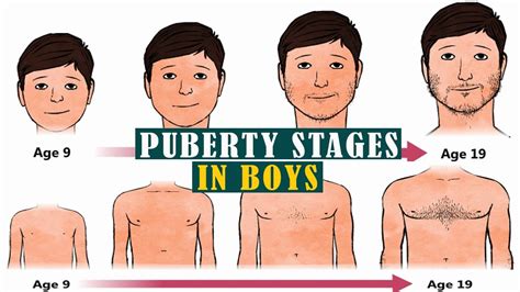 teen cum pic|Stages of Puberty Explained in Pictures